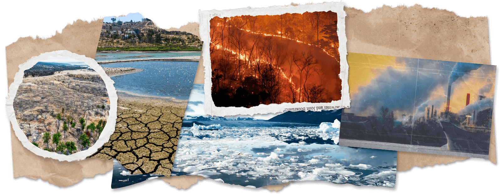 Consecuencias del cambio climático