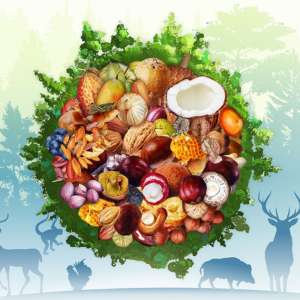 Bosques y alimentos