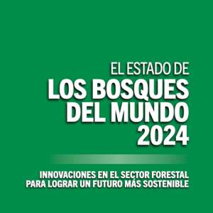 El estado de los bosques